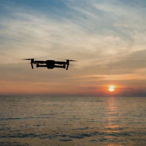 Eagle Eye Securities drone security consultation